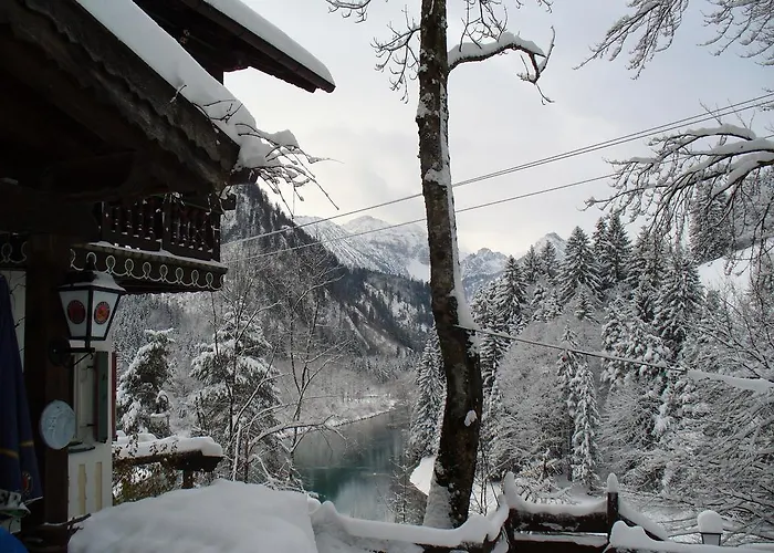 Steakhaus 招待所 福森